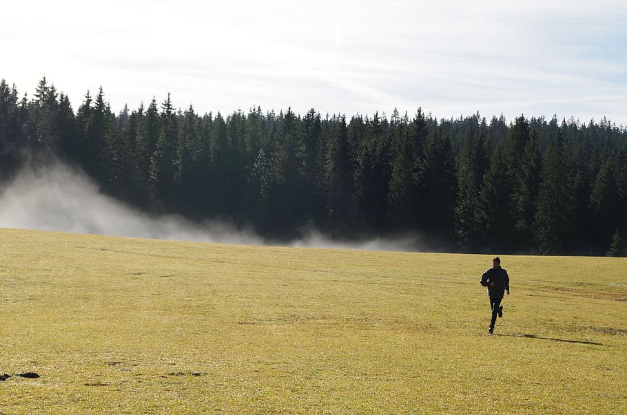 nature, landscape, cold, runner, forest, tree, plant, one person HD wallpaper