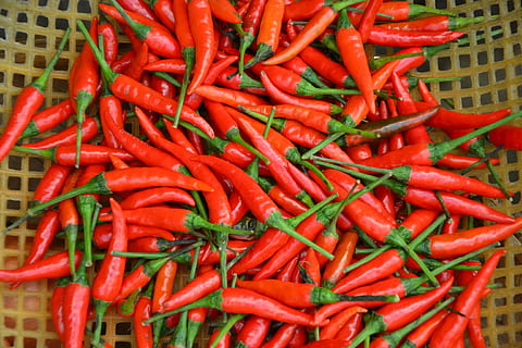 red jalapenos, chili, pepper, sharp, piquant, pod, market, basket HD wallpaper