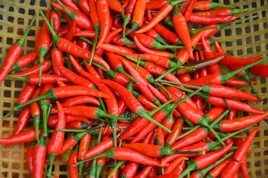 red jalapenos, chili, pepper, sharp, piquant, pod, market, basket HD wallpaper