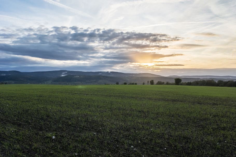 sunset, meadow, money, spacious, evening sky, abendstimmung HD wallpaper
