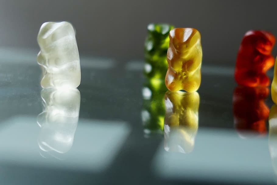 bears, colorful, eat, something, fruit jelly, yellow, green HD wallpaper