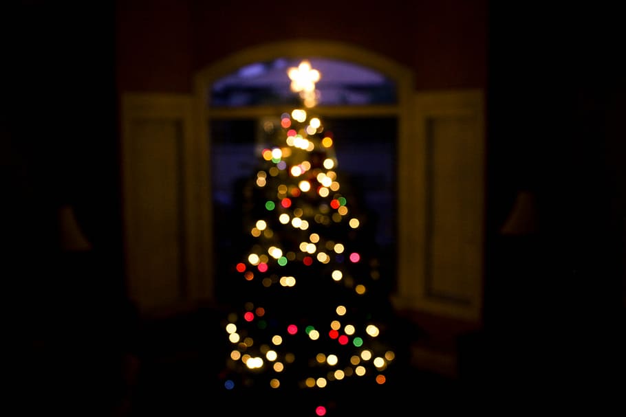 shallow focus photography of green Christmas tree with multicolored string lights, Christmas tree with lightened string lights and star HD wallpaper