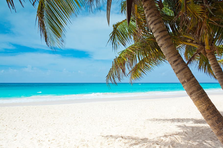 photo of beach during daytime, beautiful, blue, coast, landscape HD wallpaper
