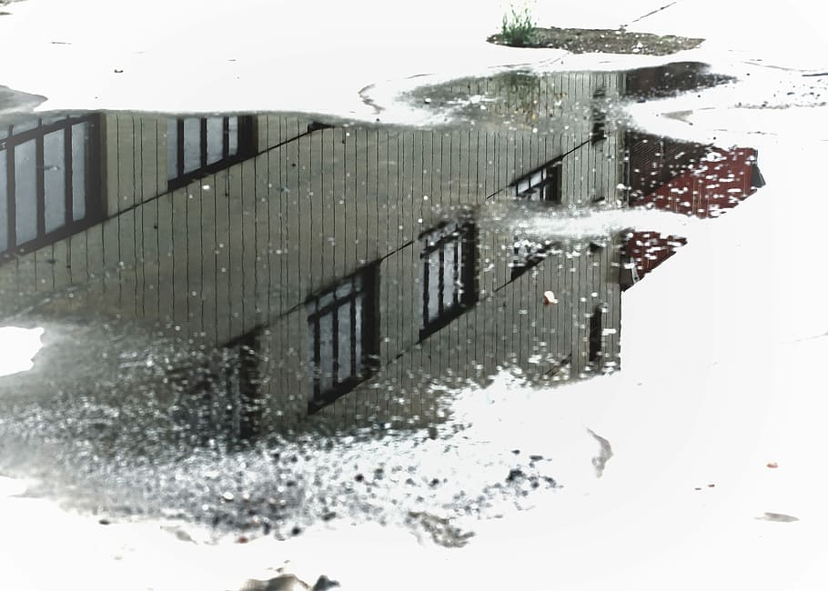 Puddle, Mirroring, Building, raining, transient, water, window HD wallpaper