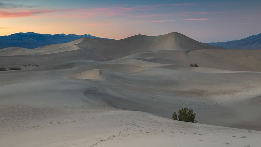 photo of footprints on desert during daytime, dessert during golden hour HD wallpaper