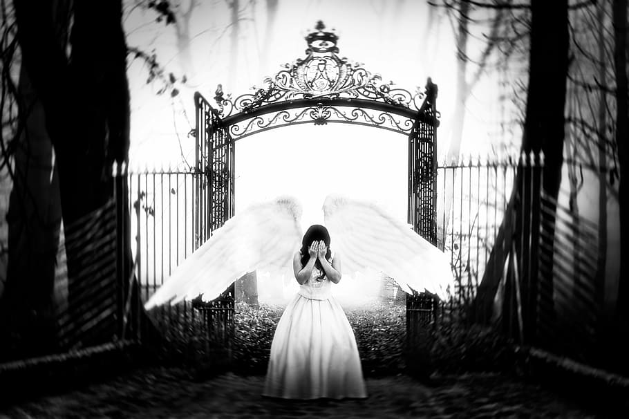 grayscale photo of woman wearing dress with wings standing in front of floral gate HD wallpaper