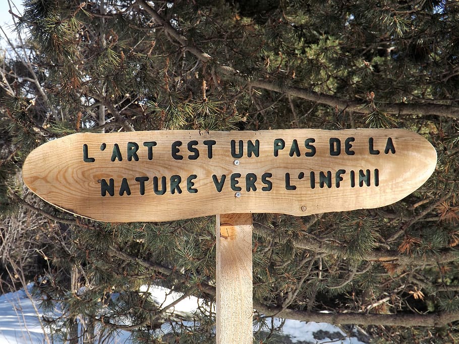 wood, panels, rustic, nature, text, communication, western script HD wallpaper