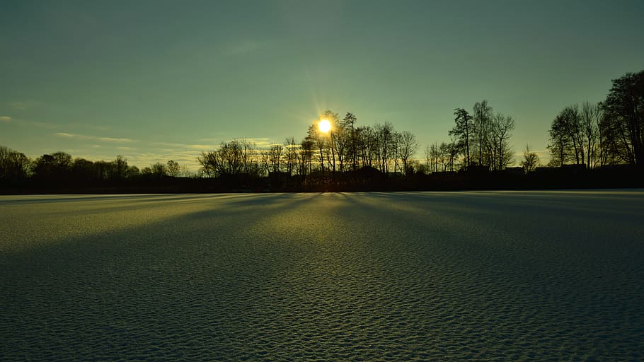 winter, landscape, joint, sky, tree, plant, tranquility, tranquil scene HD wallpaper