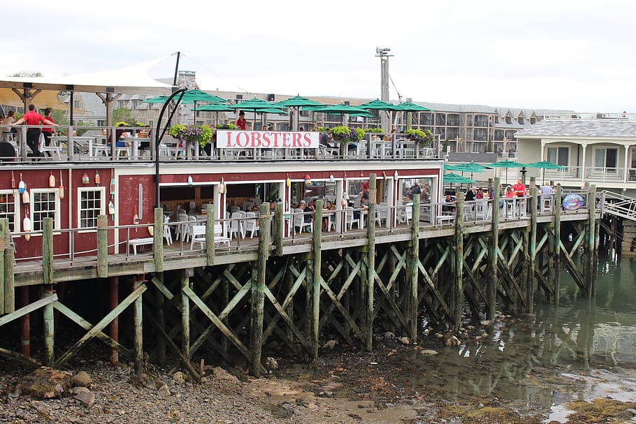 lobster, restaurant, dock, pier, fish, seafood, fishing, maine HD wallpaper