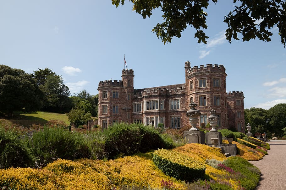 brown castle during daytime, mount edgcumbe house, manor house