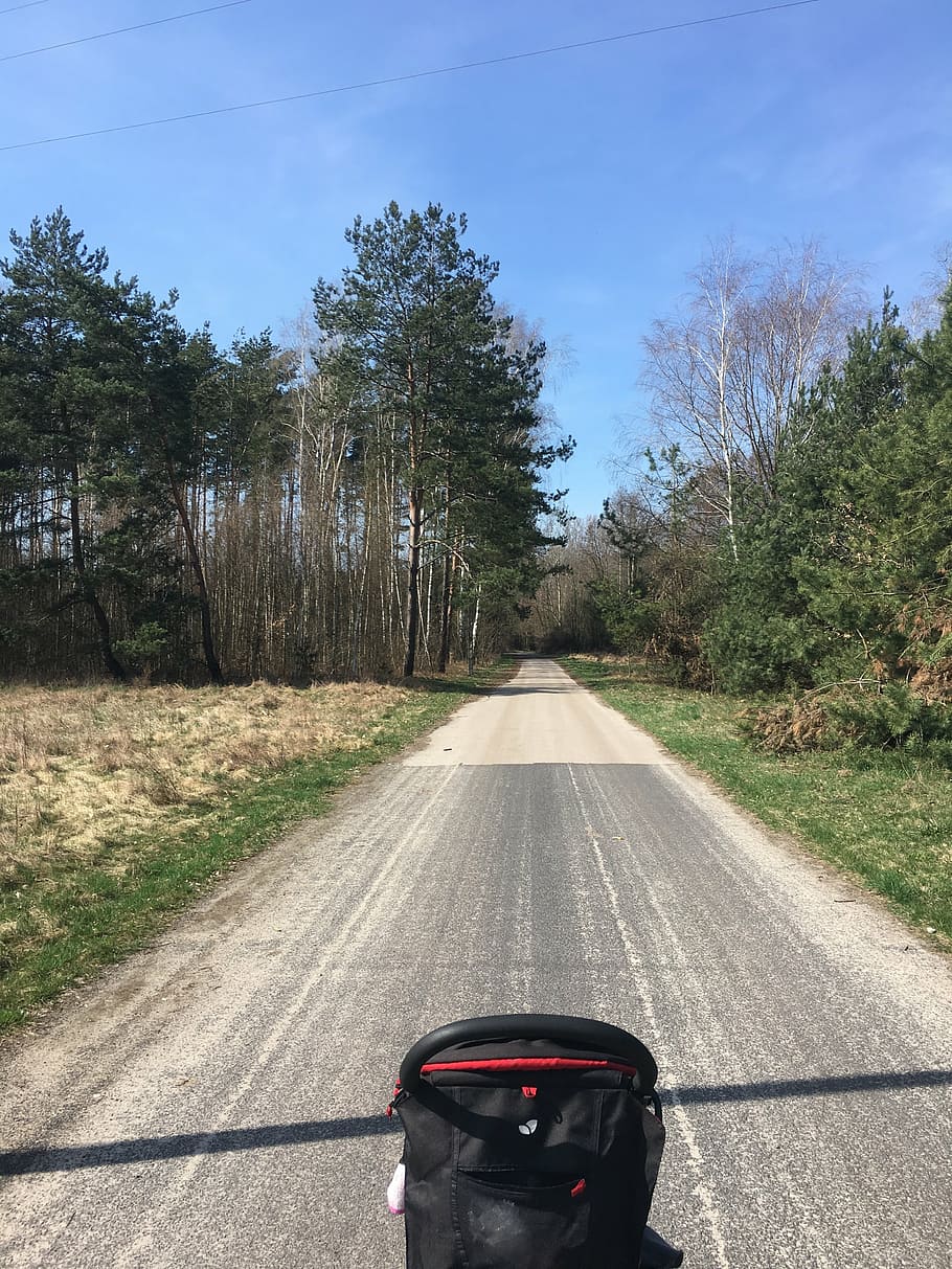 way, spring, tree, road, nature, transportation, outdoors, asphalt HD wallpaper