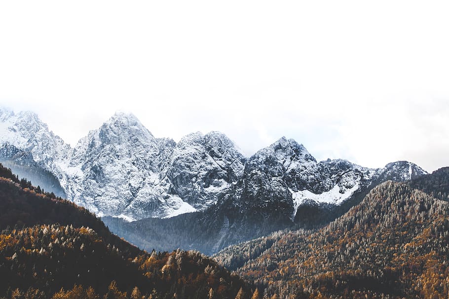 mountain, landscape, peak, summit, snow, ice, breeze, plants HD wallpaper