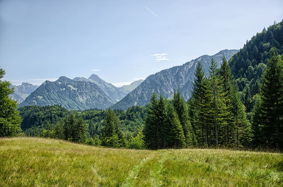 allgäu, oberstdorf, mountains, forest, trees, bavaria, summer