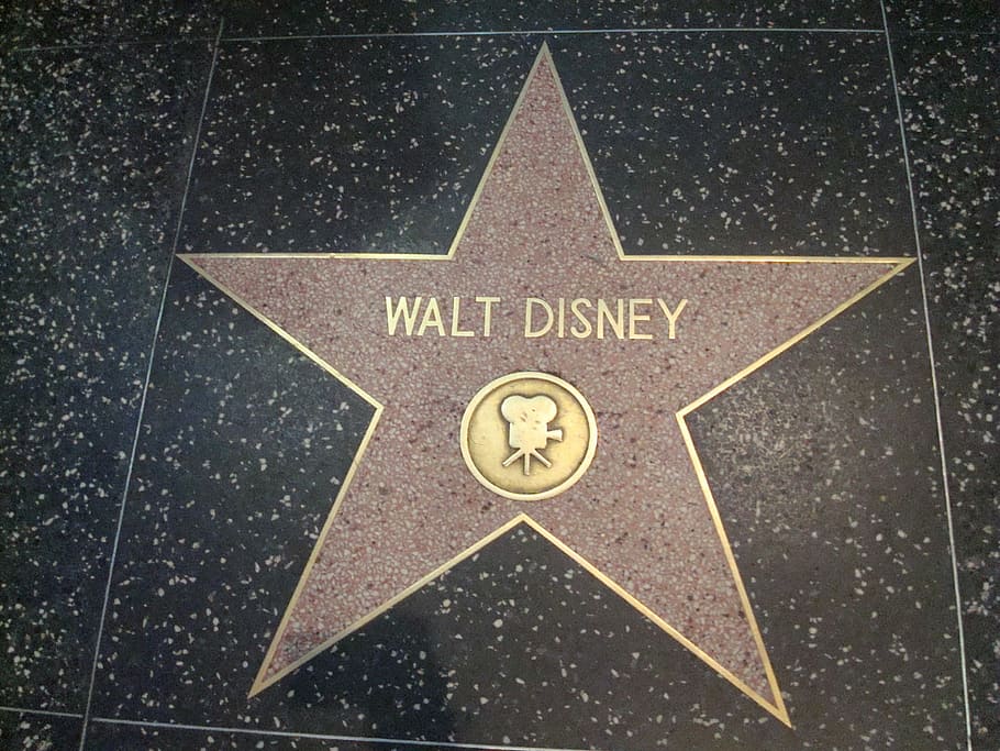 Star, Walt Disney, hollywood walk of fame, walter elias disney, HD wallpaper