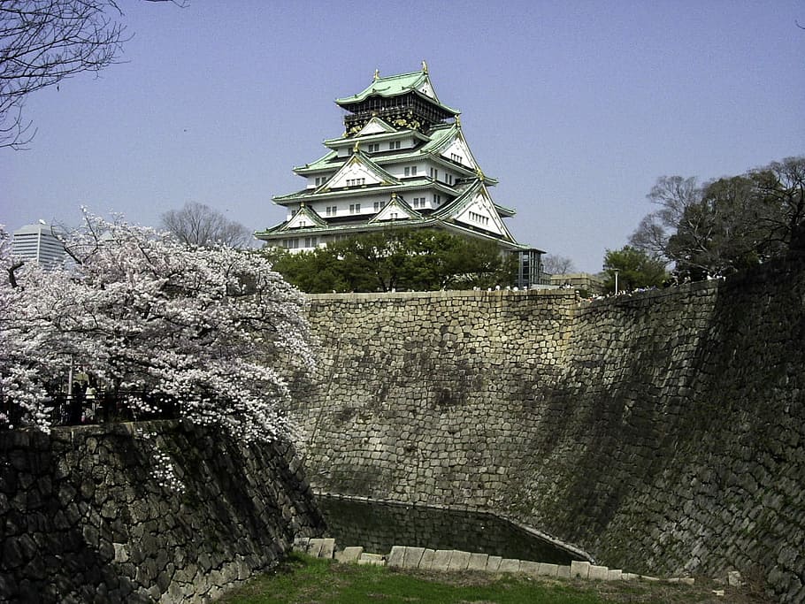 Farther view of Osaka Castle, Japan, building, flowers, fortress