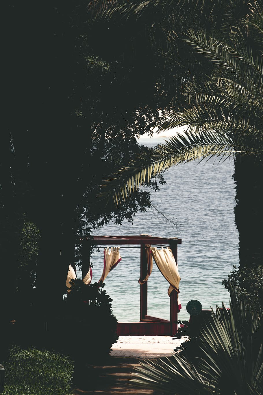 garden gazebo near beach under coconut trees, gazebo with curtain near body of water during daytime