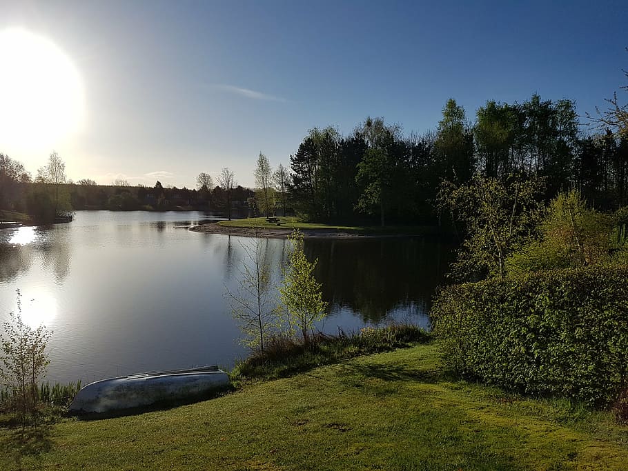 vlagtwedde, sun, more, plant, tree, water, tranquility, sky HD wallpaper