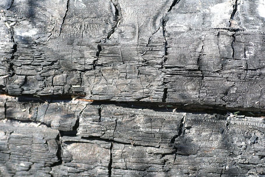 charred, tree, material, black, textured, backgrounds, full frame HD wallpaper