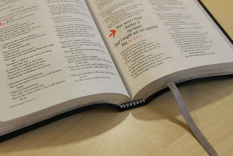 close-up photography of book page, black labeled open book, bookmark HD wallpaper