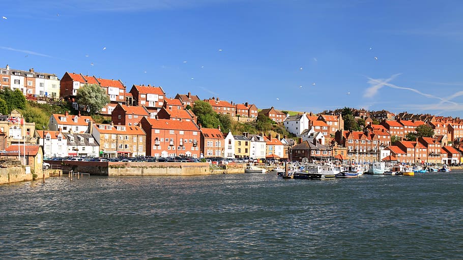 architecture, building, coast, england, house, houses, sea HD wallpaper