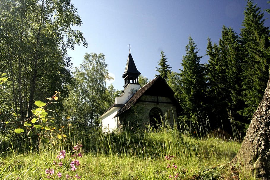church, romance, forest, plant, tree, architecture, built structure HD wallpaper