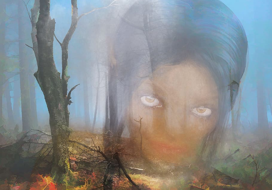 face, landscape, forest, nature, mystical, head, tree, atmosphere HD wallpaper