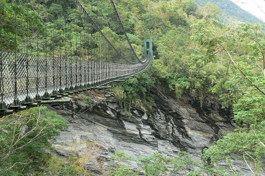 drawbridge, landscape, mountain view, plant, tree, growth, beauty in nature HD wallpaper