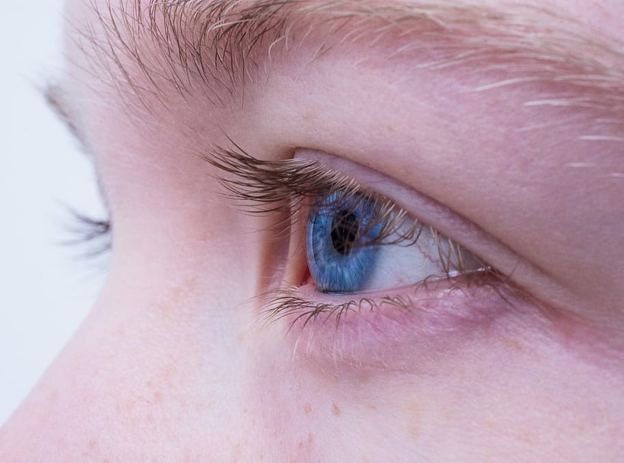 closeup photo of person's eye, female, blue, blue eye, portrait, HD wallpaper