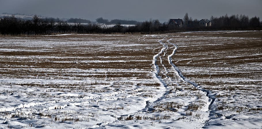 way, winter, target, traces, field, the silence, space, the pursuit of HD wallpaper