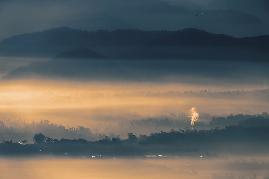 landscape, fog, sunrise, forest, foggy, light, mist, morning, HD wallpaper