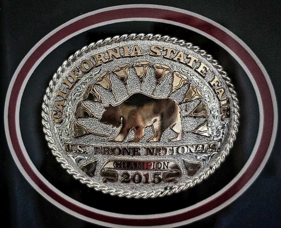 trophy, award, quadcopter, icon, prize, success, animal, animal themes HD wallpaper