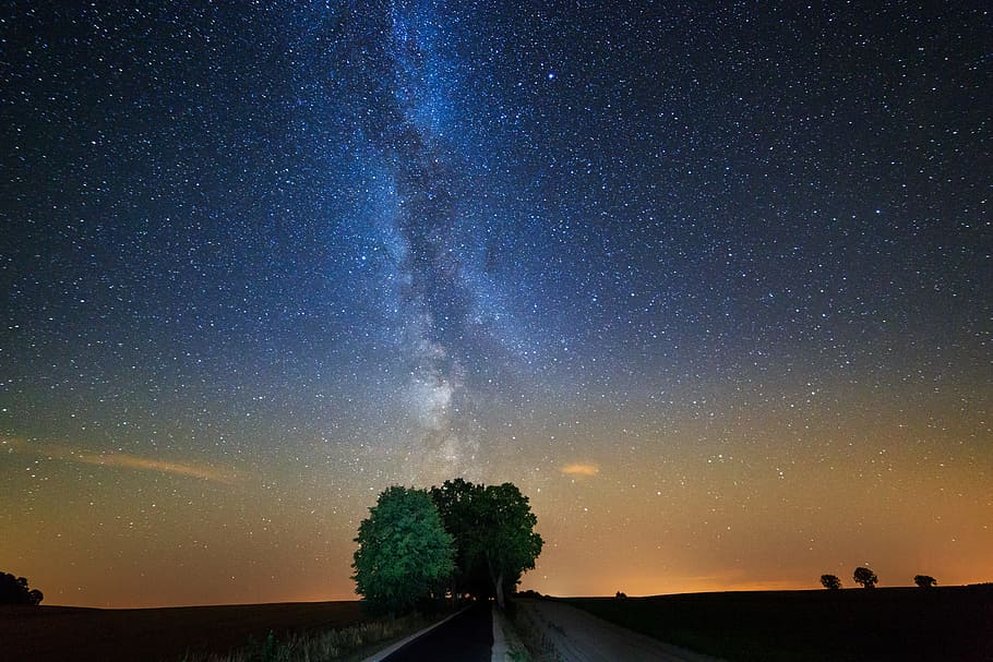 view of aurora on top of green leafed tree, sky, astronomy HD wallpaper