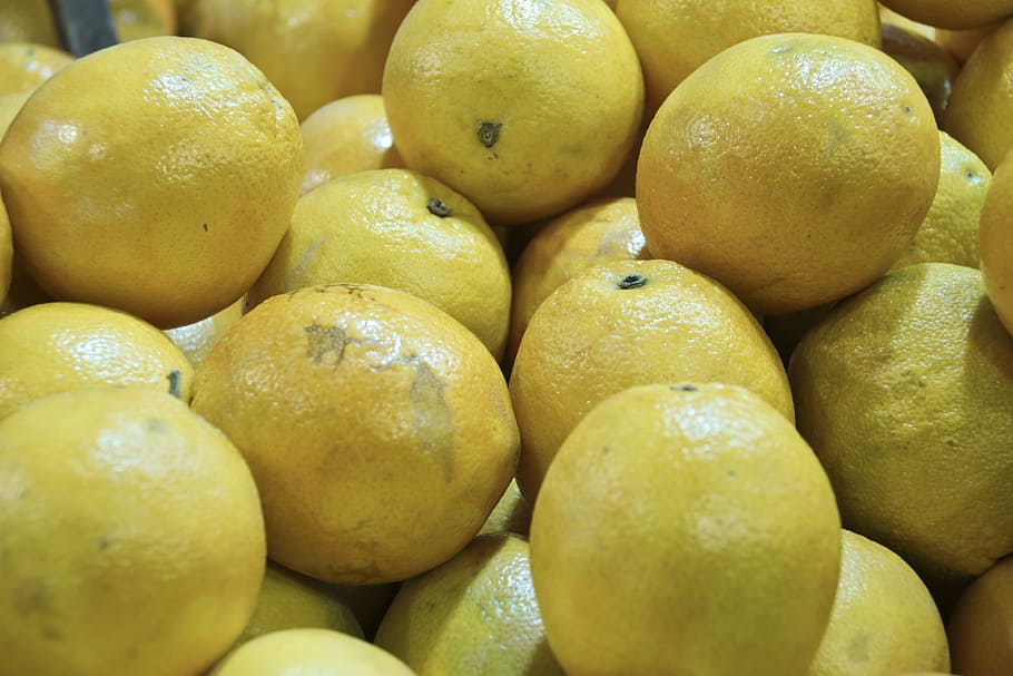 lemon, sour, citrus fruits, yellow, fruity, healthy, vitamins, HD wallpaper