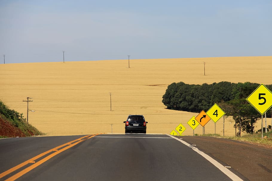 ride, car, road, path, asphalt, paraná, plantation, yellow HD wallpaper