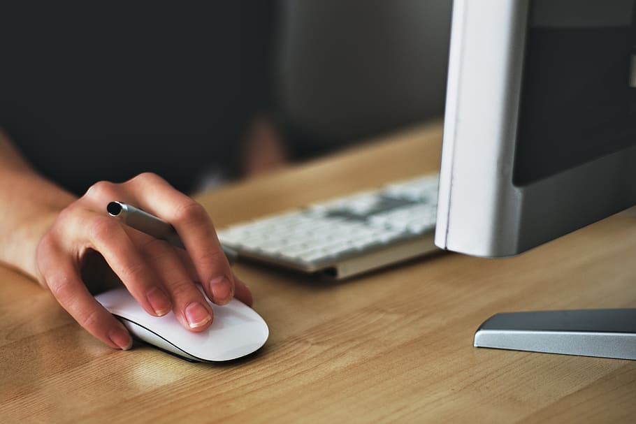 woman using Apple Magic Mouse, computer, browser, research HD wallpaper