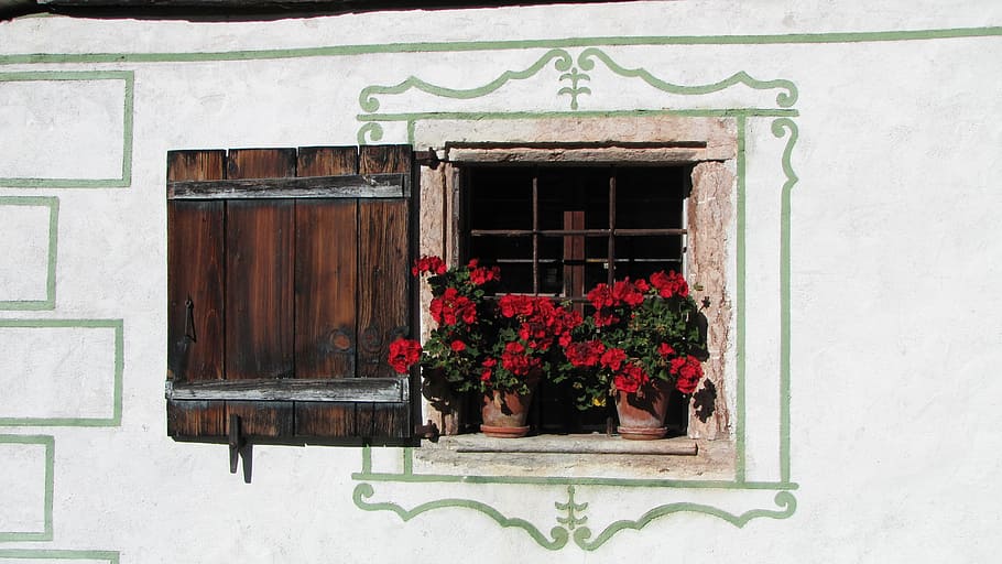 window, flowers, shutter, building exterior, flowering plant HD wallpaper