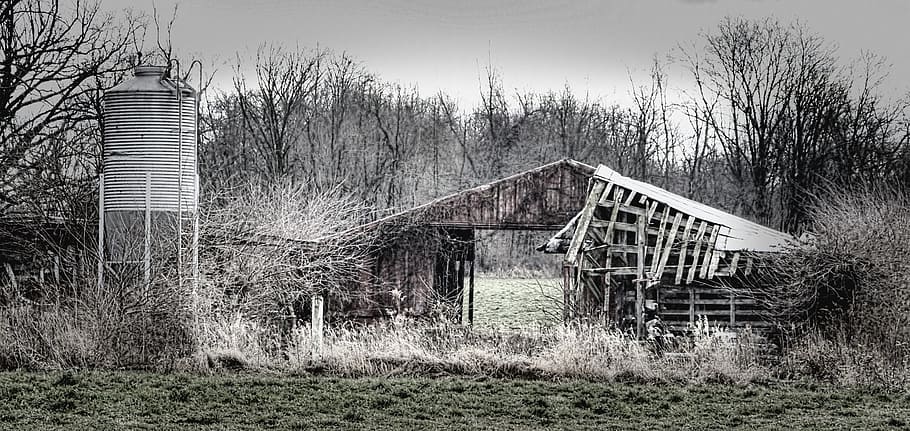 barn, barns, rustic, art, digital art, artistic, textured, ohio HD wallpaper