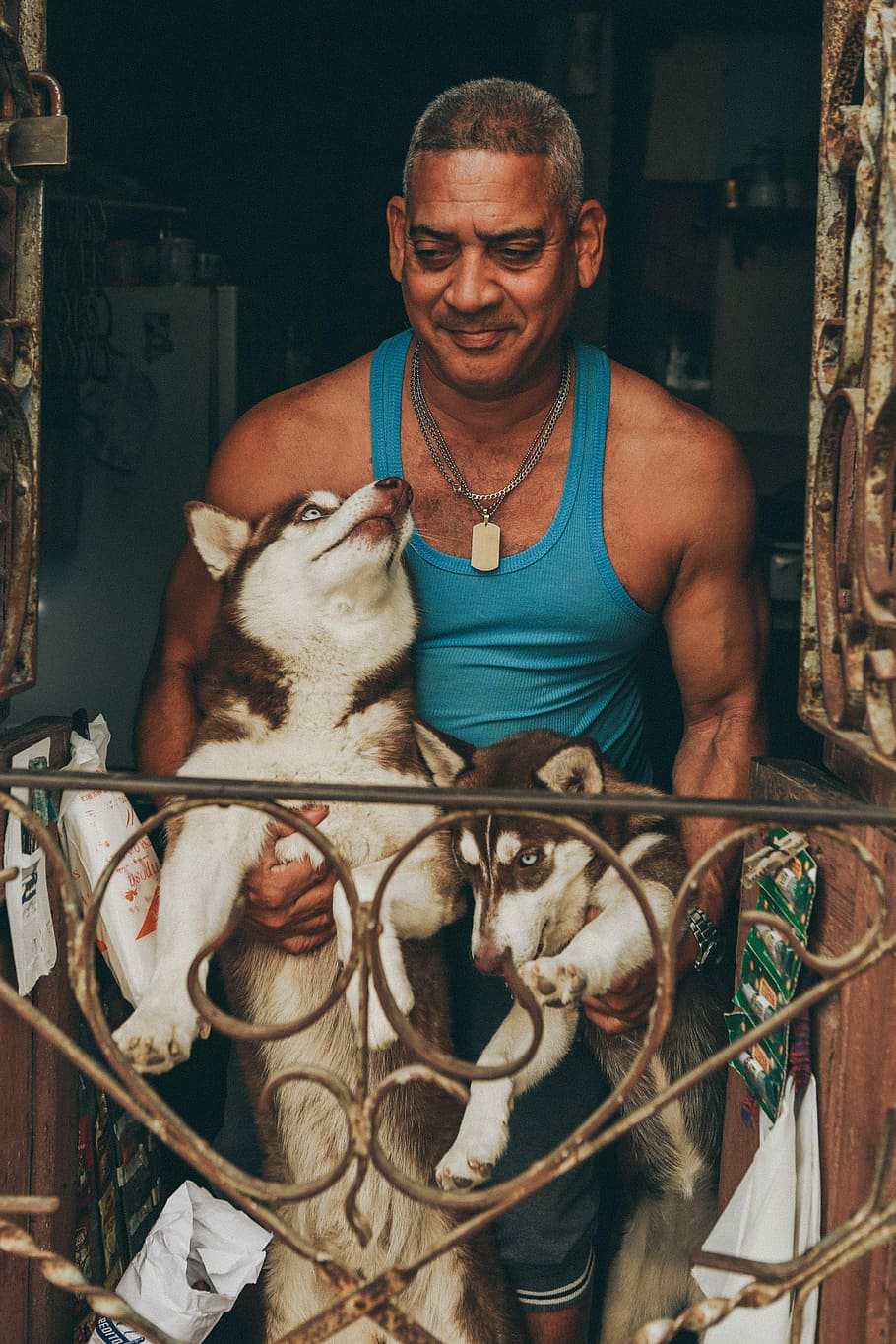 man holding two husky near window inside house, man carrying two Siberian huskies