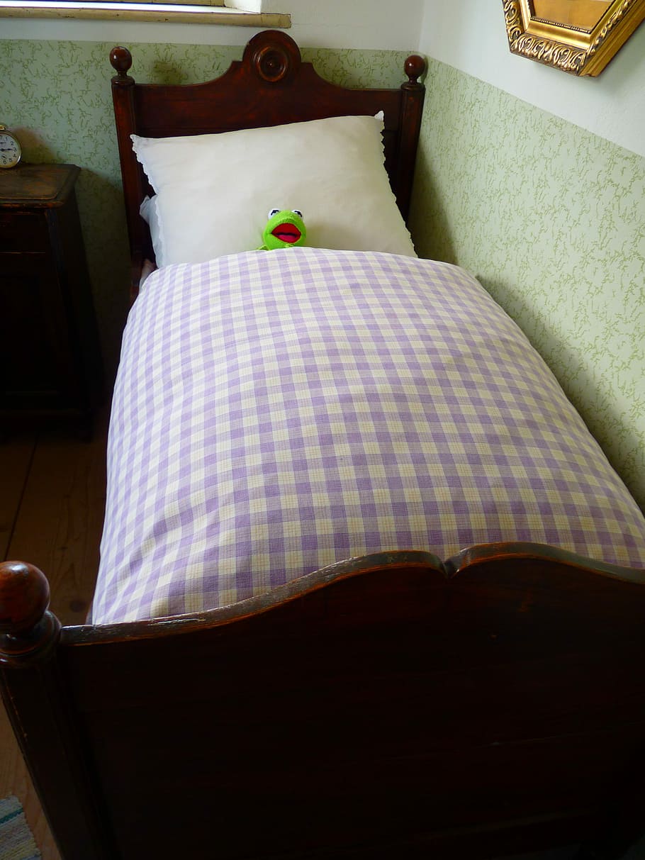 Frog, Kermit, Tired, Sleep, Bed, bedroom, pillow, indoors, home interior HD wallpaper
