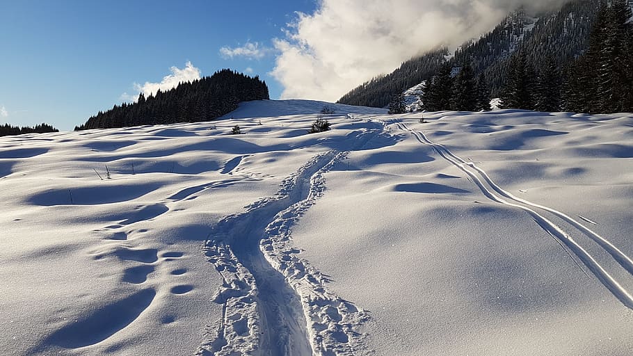 Snow, Winter, Wintry, Liezen, backcountry skiiing, cold, outdoors, HD wallpaper