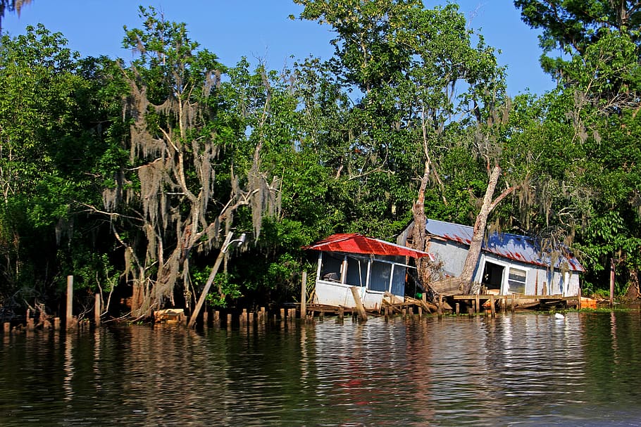 diladitated, camp, river, swamp, hurricane, destroyed, house HD wallpaper