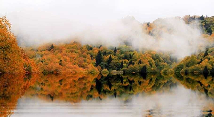 Rize,ikizdere,Foto_Aydin, trees reflecting on body of water, woodland, HD wallpaper