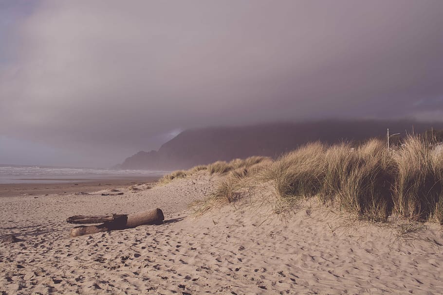 sayan, sand, vacation, land, sky, beach, nature, cloud - sky HD wallpaper