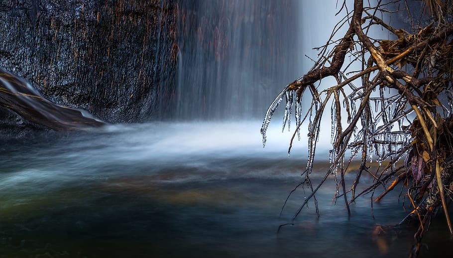 waterfalls, nature, roots, tree, plants, scenics - nature, beauty in nature HD wallpaper