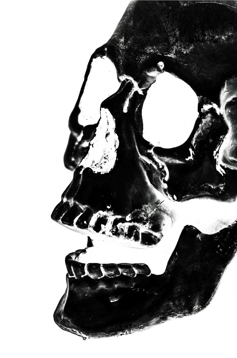 closeup photo of skull x-ray, halloween, people, mask, dummy, HD wallpaper