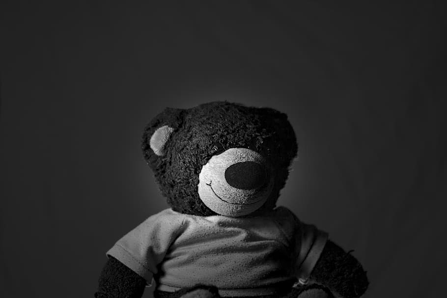 toy, stuffed, cute, plush, animal, fun, bear, teddy, soft, baby HD wallpaper