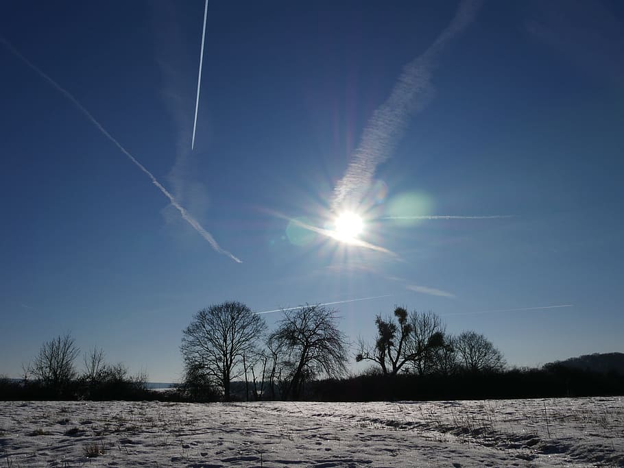 Sky, Trees, Landscape, Snow, Contrail, rest, cold, winter, vapor trail HD wallpaper