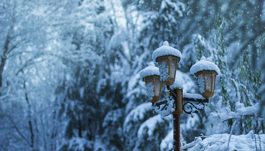brown metal framed lawn post light covered by snow near trees at daytime, post light during day time HD wallpaper