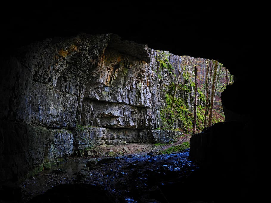 trees outside cave, falkensteiner cave, caves portal, baden württemberg, HD wallpaper