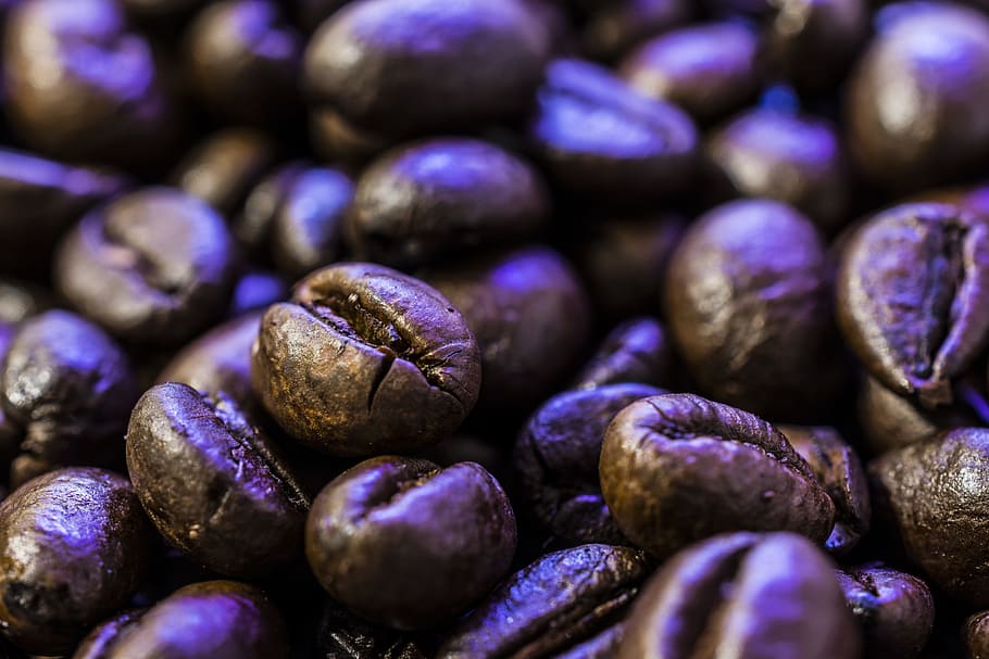 Coffee, Beans, Coffee Beans, Espresso, coffee cup, roasting HD wallpaper